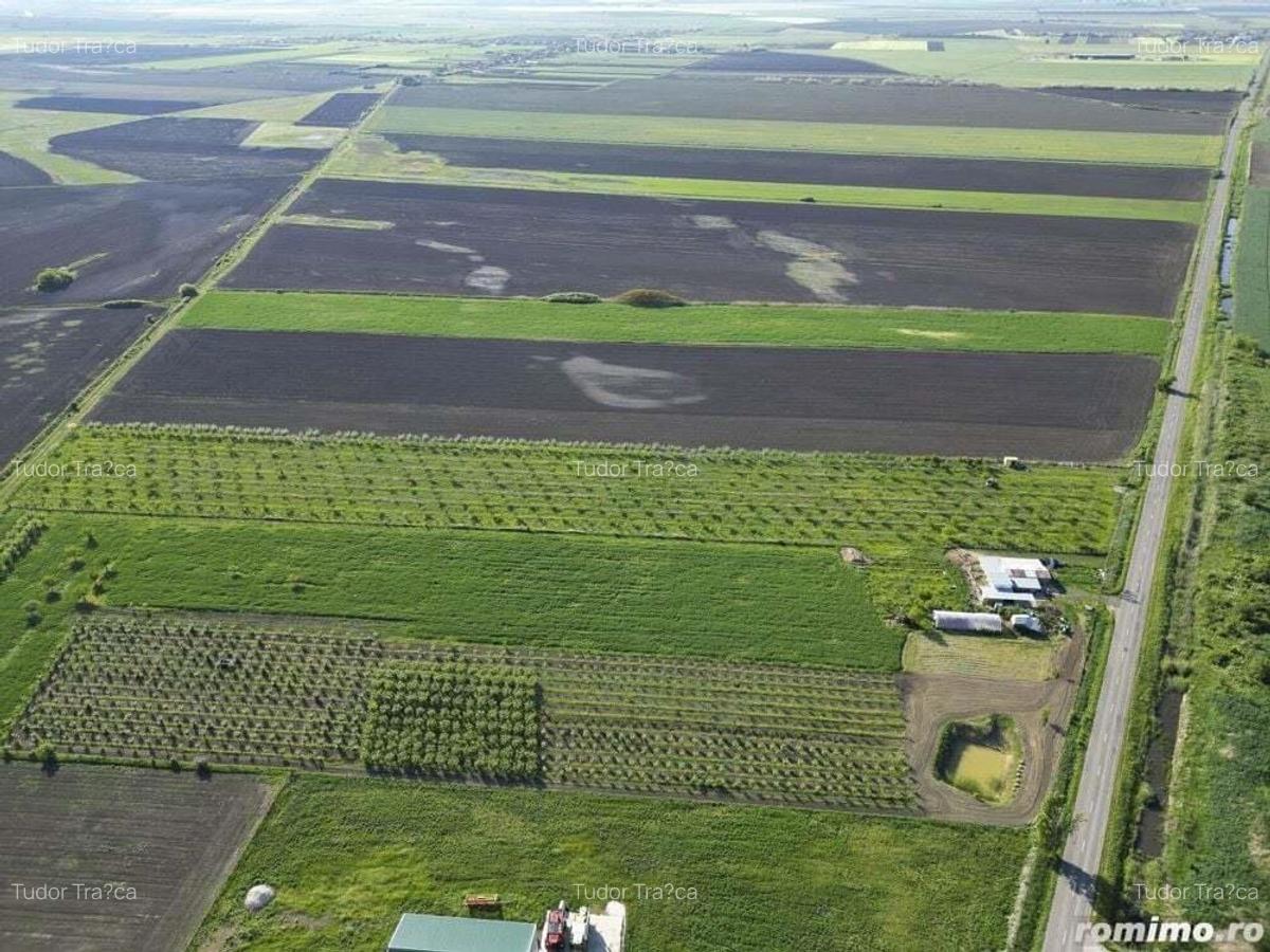 Livada de nuci ?i pruni 2.4ha in Varia?ul Mare - 19