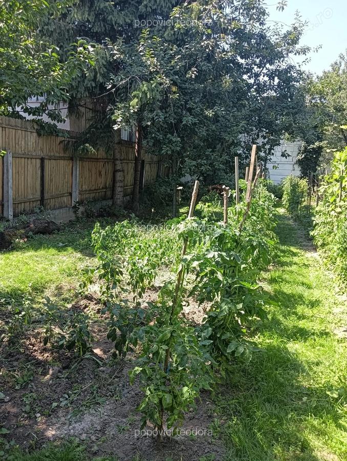 Vand casa individuala pe str Magheranului, Sibiu - 10