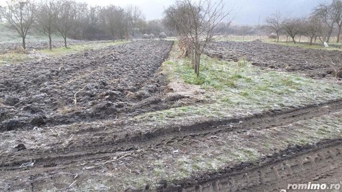 Vand casa curte si gradina in Branisca (la 15 Km de Municipiul Deva), suprafata de teren 2245 mp - 2