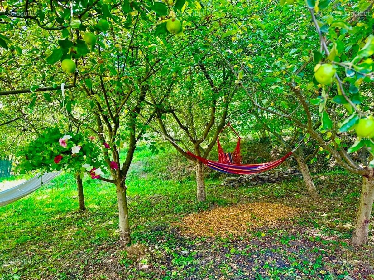 Pensiune de vânzare în Breaza – Relaxare și natură la superlativ - 3