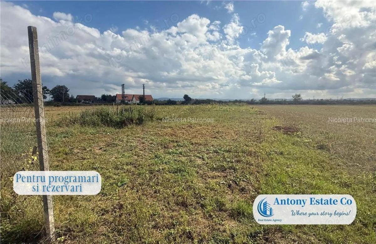 Country House casa de vanzare, Tileagd, Bihor - 12