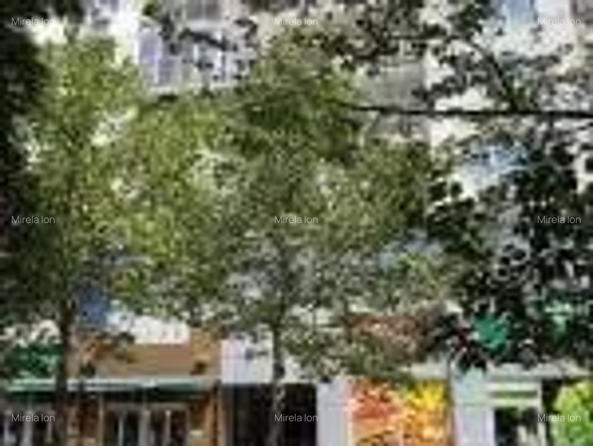 Vanzare Apartament 2 Camere 1 minut Bulevardul Decebal - 3