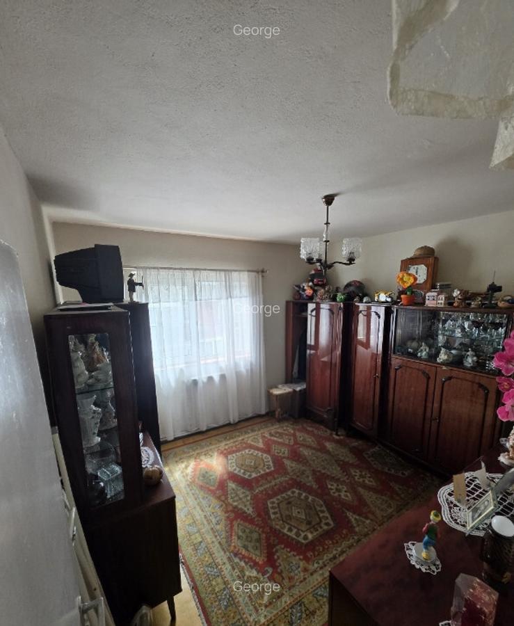 Apartament 3 camere strada Viitorului - 10