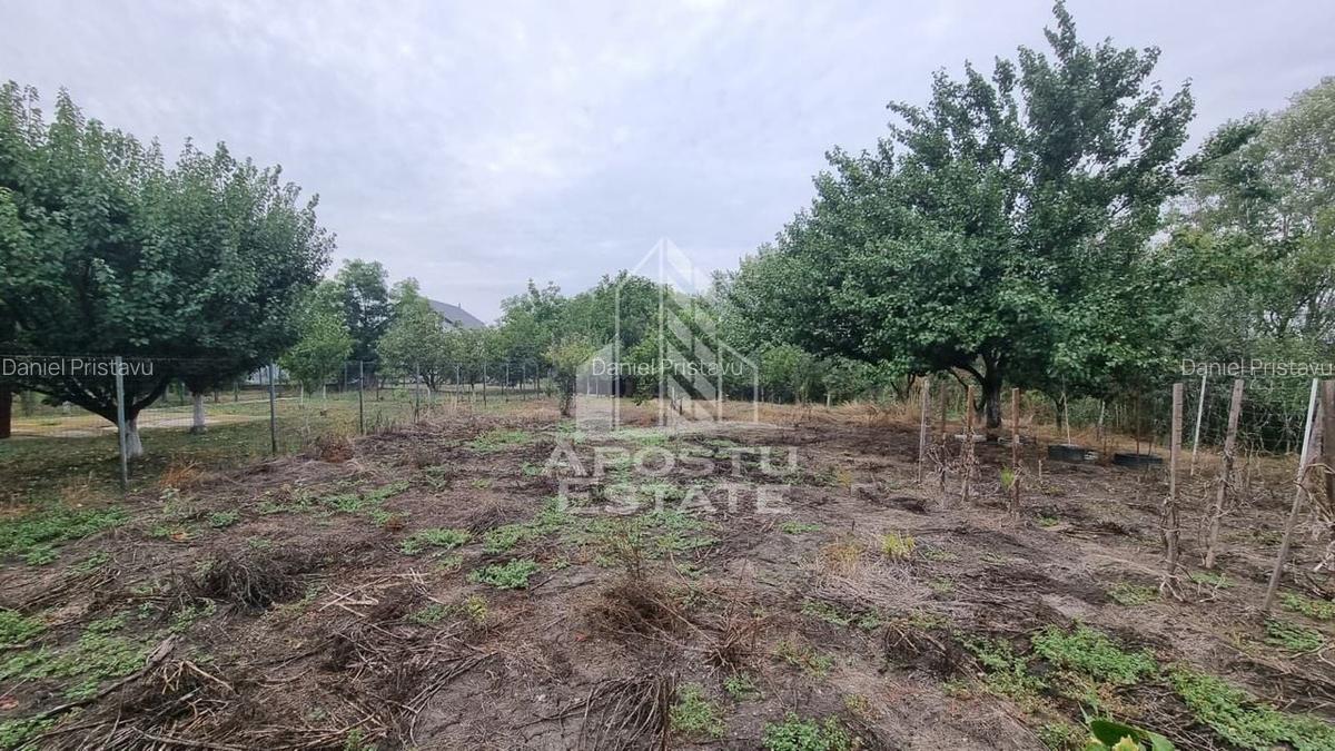 Casa individuala, curte generoasa, centrala proprie, sat Covaci - 21