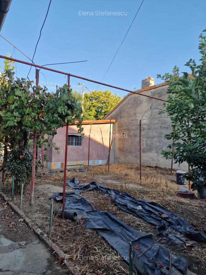 București Noi - Laminorului - vanzare casa cu teren 323 mp - 14 mp deschidere - 3