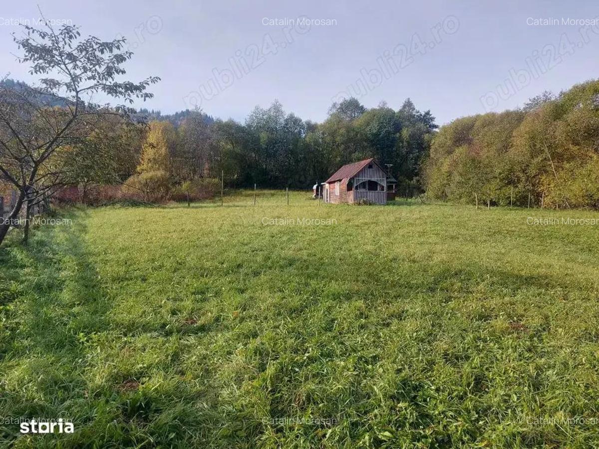 Spre vanzare proprietate 4688 mp in Campulung Moldovenesc - 11