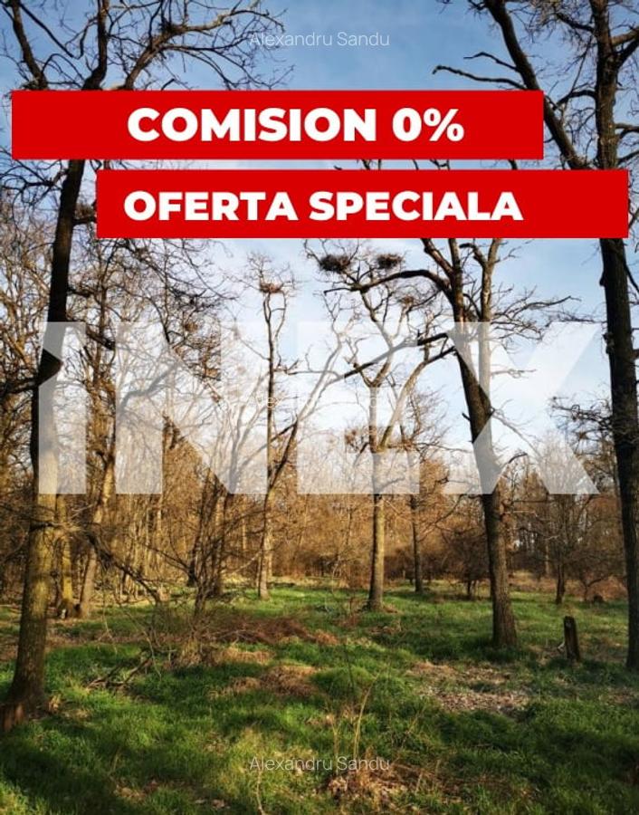 Padure stejar 20 ha de vanzare - Zona plana langa Autostrada Pitesti - 1