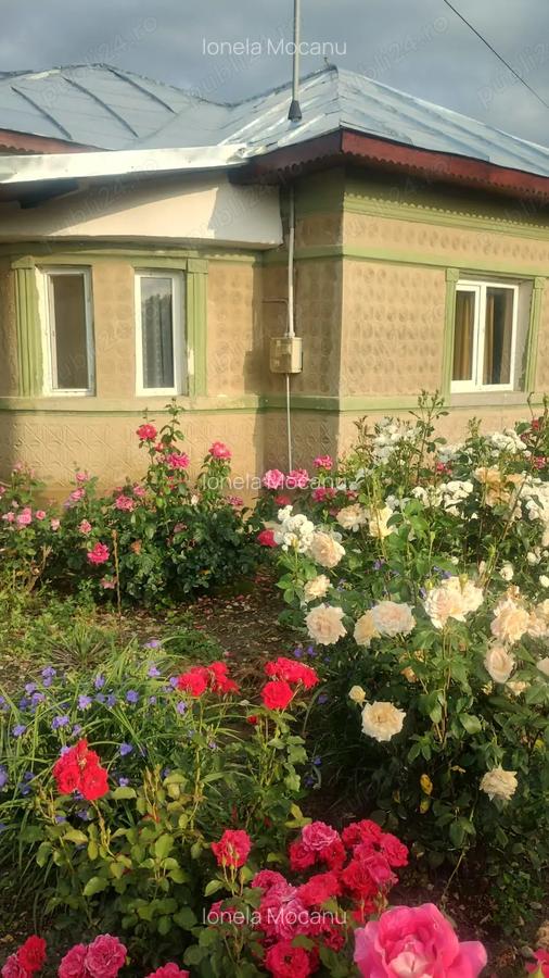 Casa de vanzare Zanoaga Jud.Prahova - 3