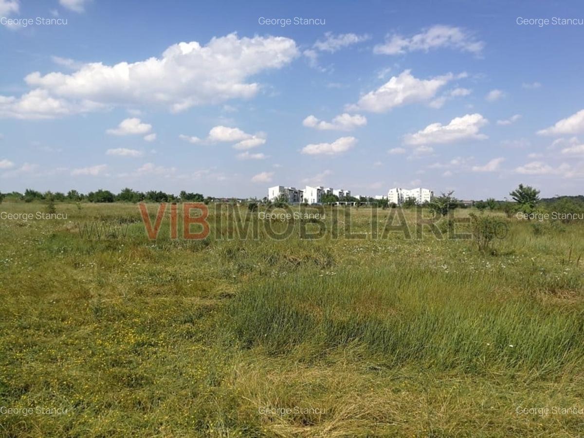 Baneasa - Piscul Reghiului, teren intravilan, suprafata 727 mp - 1