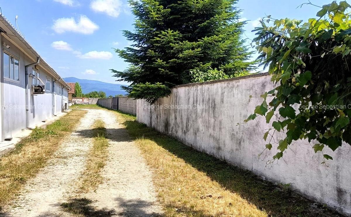 Teren Construcții intravilan de 850 mp, în Prejmer - 2