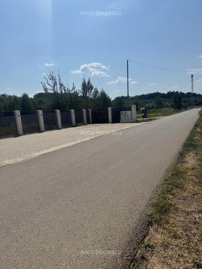 Teren de 5000 mp intravilan în Corbeanca – zonă rezidențială nouă - 3 Teren de 5000 mp intravilan în Corbeanca – zonă rezidențială nouă - 3