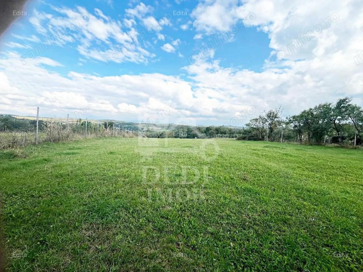 Casa de vanzare si teren de 3000mp in satul Calea Mare, Bihor - 5