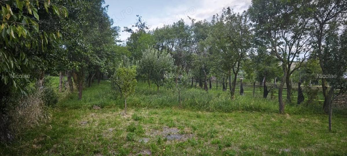 Casa batraneasca in Bretcu (Covasna) la schimb cu garsoniera in orasul Brasov - 6