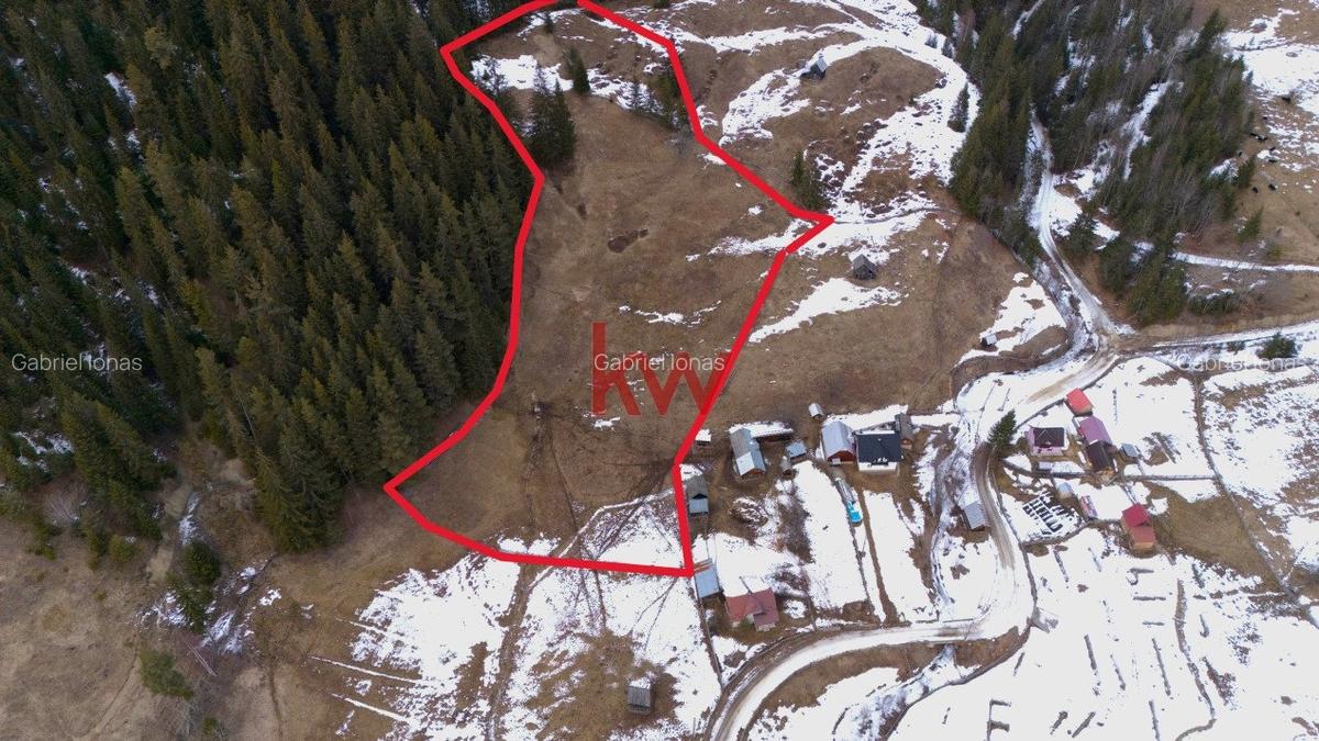 Teren Intravilan 11.844 MP, Breaza, Jud. Suceava - 2
