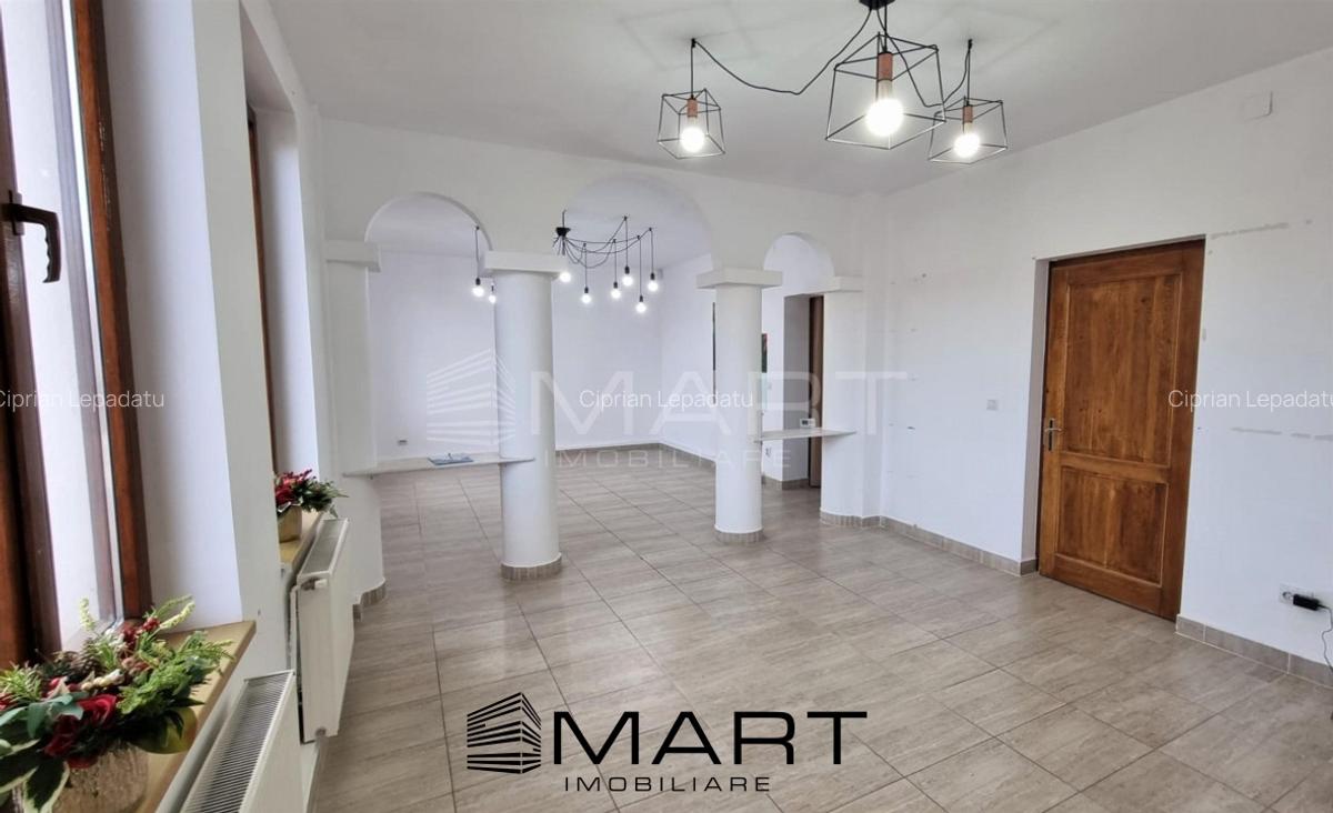 Spatiu comercial Zona Calea Dumbravii - 2