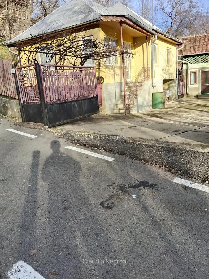 Casa batraneasca de vanzare - 2