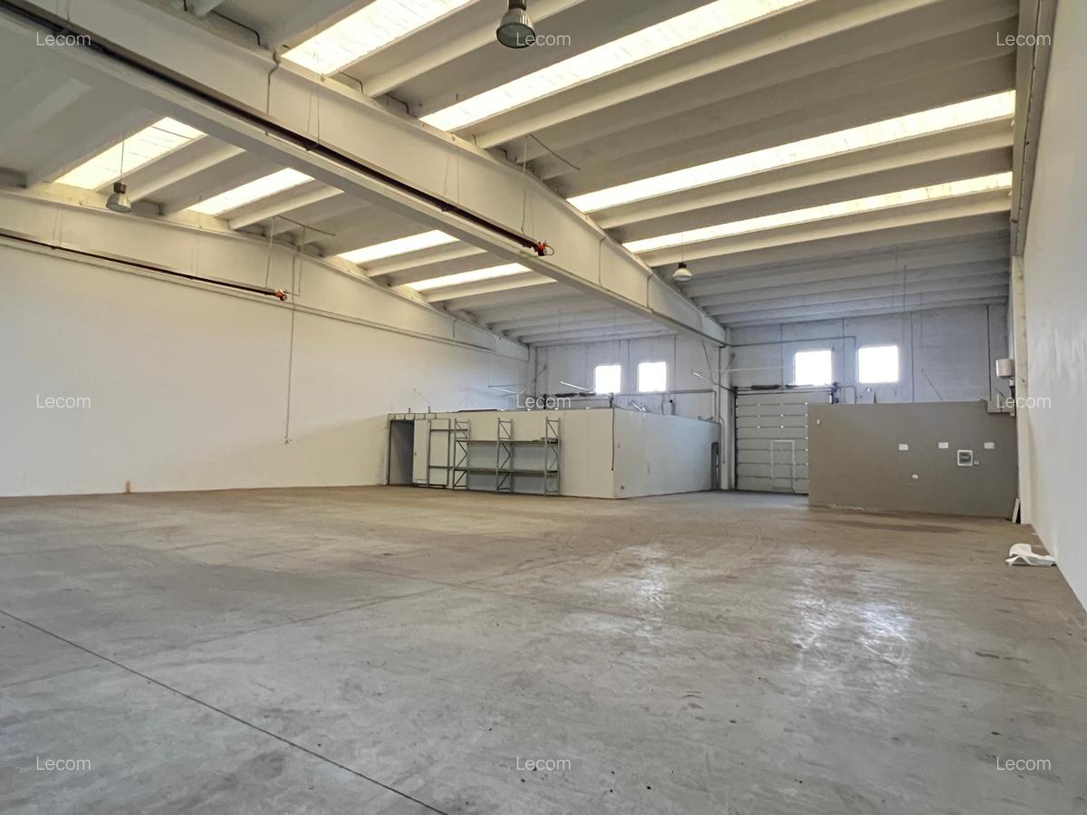 COMISION 0% | Hala industriala, situata pe Calea Lugojului | Disponibila imediat - 3
