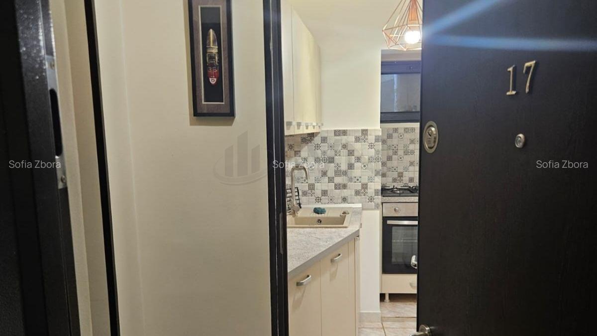 Apartament cu 2 camere decomandat în Bucur Obor - 10