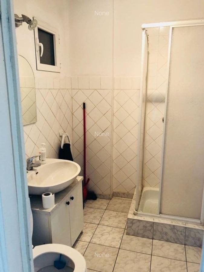 Apartament cu 3 camere decomandat în Grivița - 7
