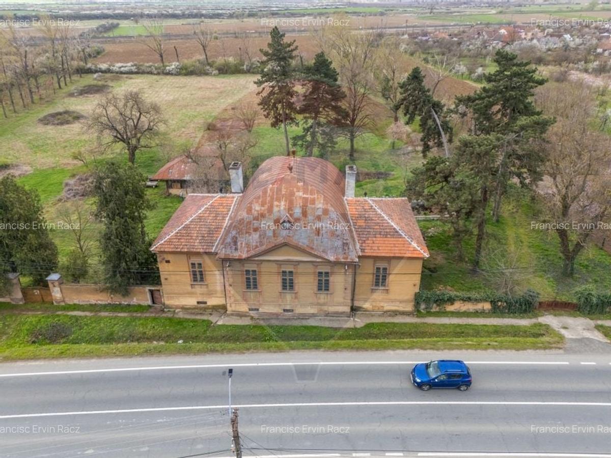 Conac aristocratic secolul XIX , domeniu  2,5 hectare -- Paulis, Arad - 1