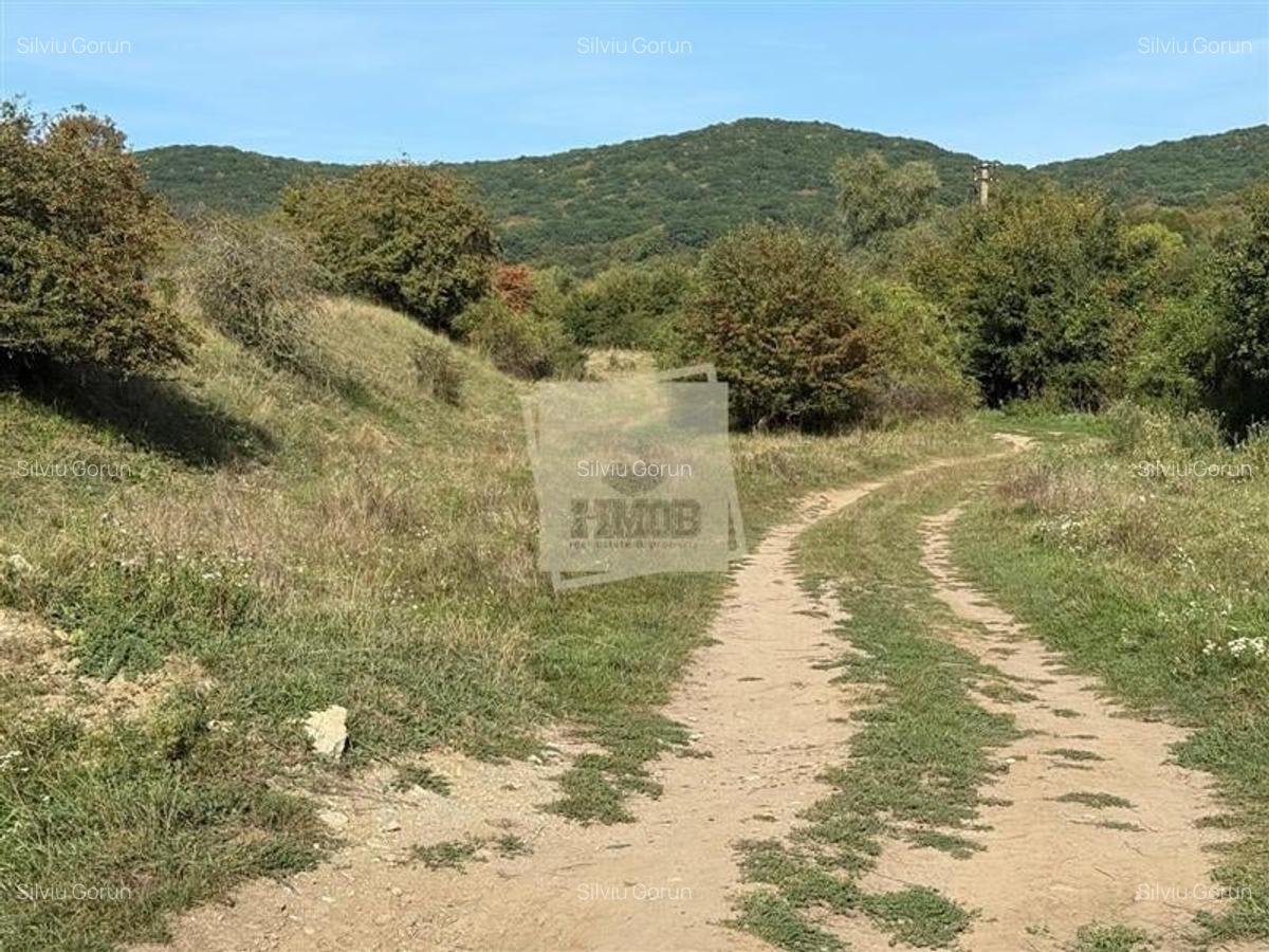 Teren extravilan 40.000 mp sau 80.000 mp in Gusterita - 1