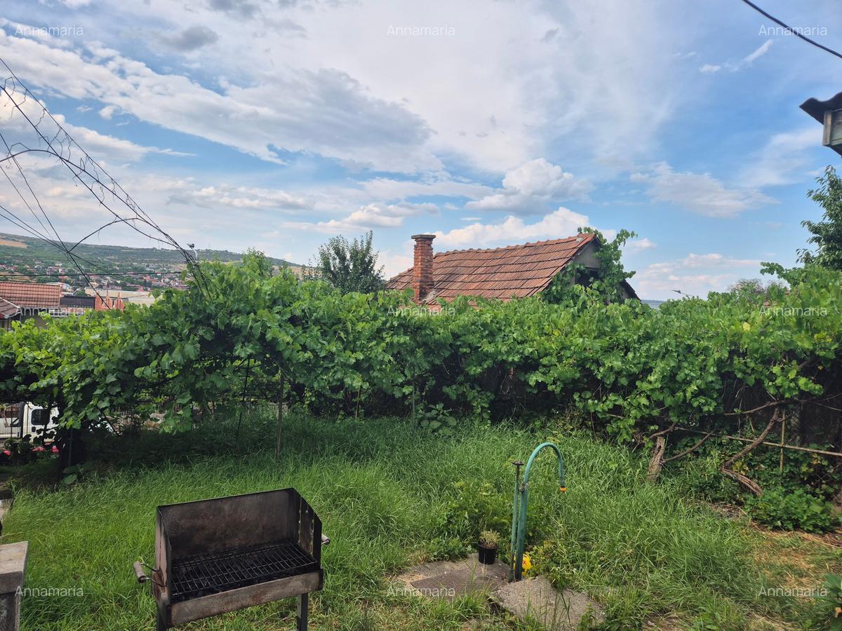 Cetățuie. Liniște. Lumină. Panorama.Teren ideal pentru casă. - 8
