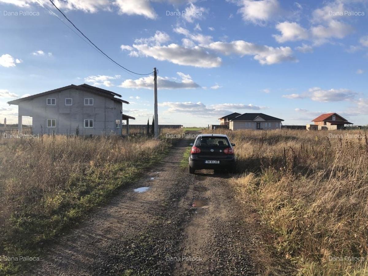 Teren Covaci-770-1540 mp la asfalt - 3