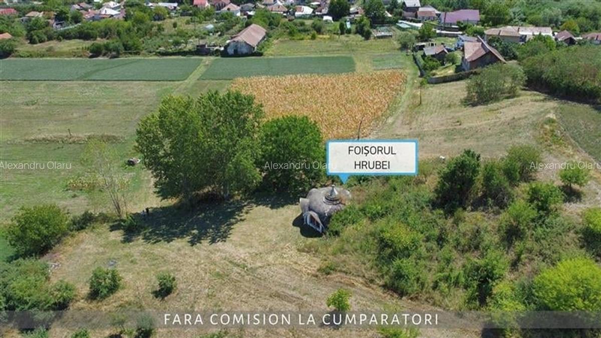 OPORTUNITATE UNICA IN DOMENIUL VITICOL - 5 OPORTUNITATE UNICA IN DOMENIUL VITICOL - 5