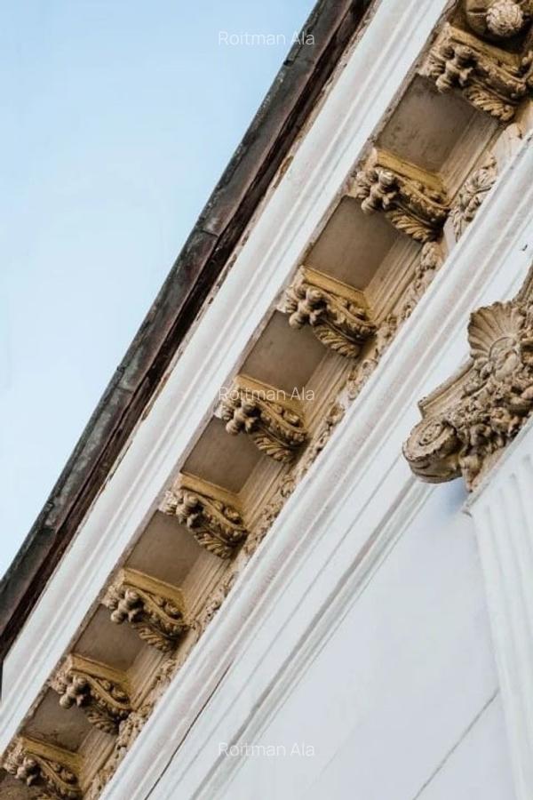 Vila istorica de patrimoniu - 160 mp/teren 262 mp - 16