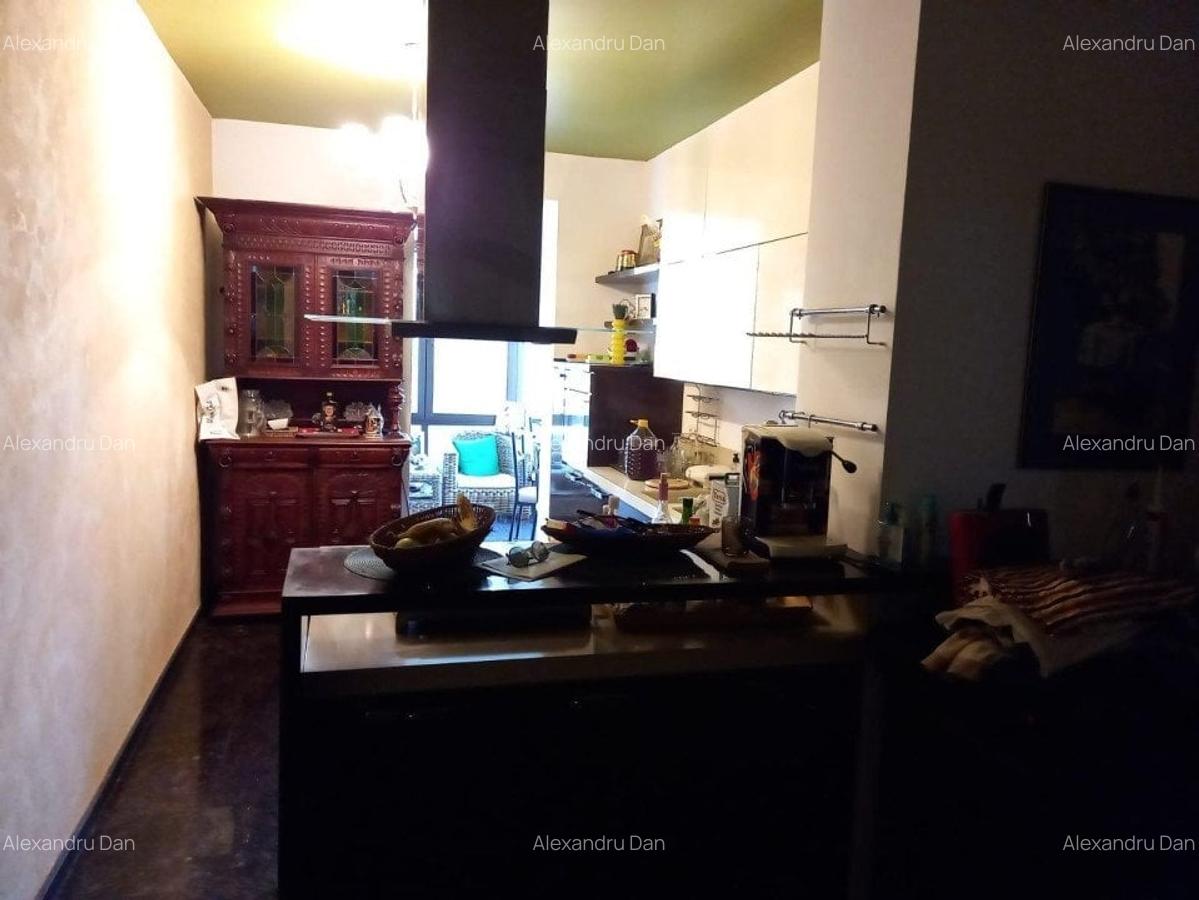 Vila individuala  de vanzare- zona Capitale - 16