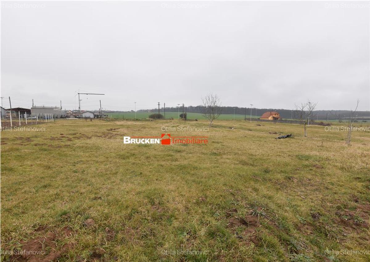 LOC DE CASA IN MARGHITA | 600 MP - 1 LOC DE CASA IN MARGHITA | 600 MP - 1