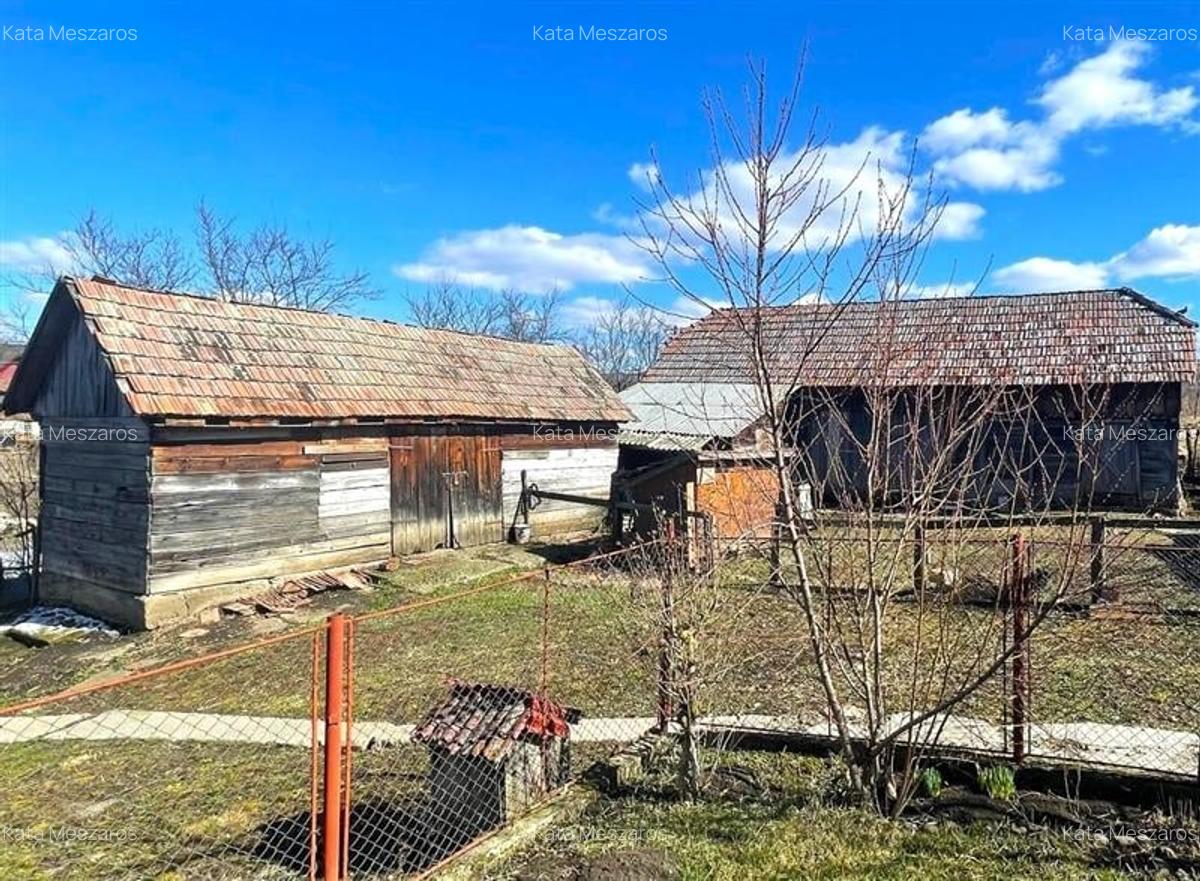 Tur Virtual! Casa traditionala+ domeniu de 4.300 mp,livada, anexe:refugiu apreci - 7