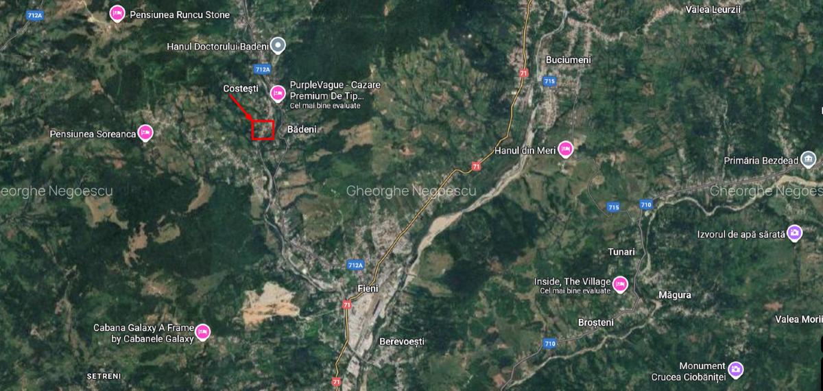 Teren intravilan 3.788 mp, deschidere 39 m, Fieni, sat Costești, jud. Dâmbovița - 10