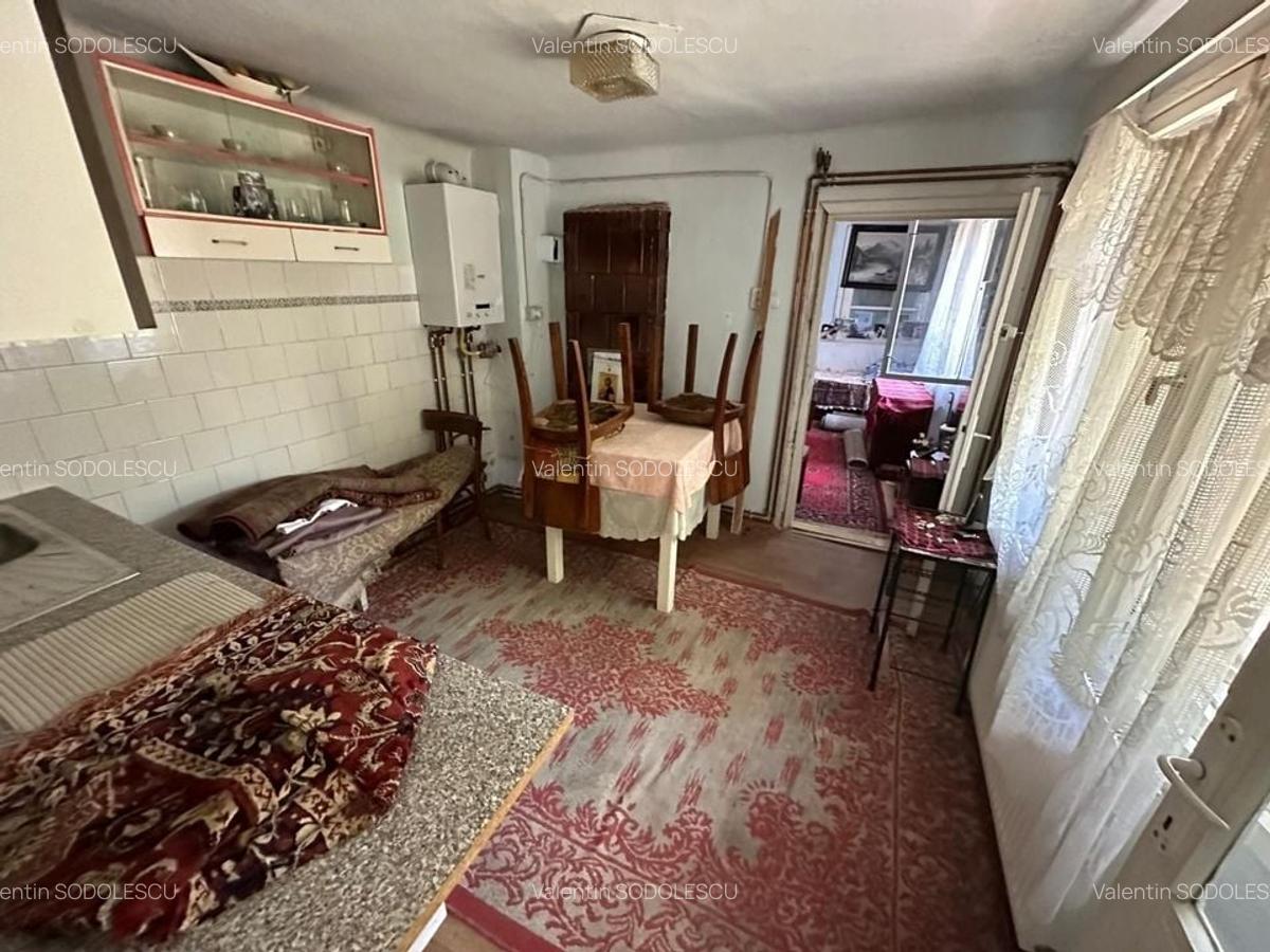 Casa cu teren 1394 mp zona Mehala - 21