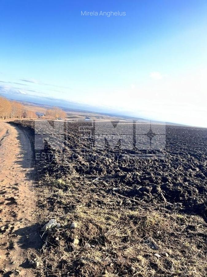 Teren I Suceava I Moara Nica I 2500 Mp I 54.900 Euro - 7