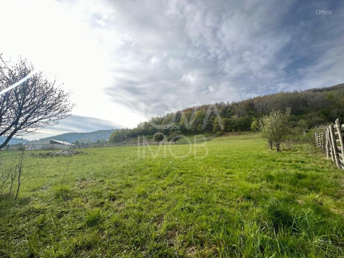 Teren 6642 mp - Sibiel, Str. Gradinarilor - 2