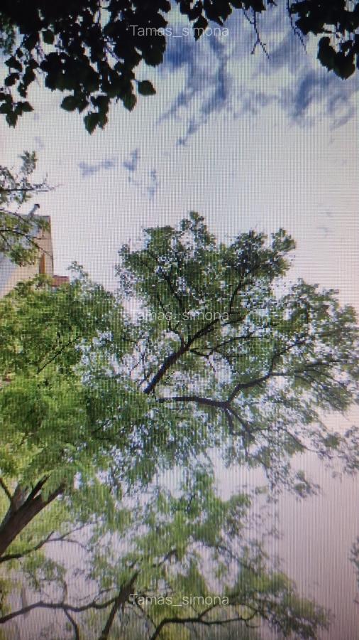 Timpuri Noi-Calea Vacaresti-apartament 2 camere - 3