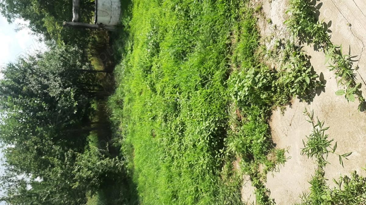 Proprietar Vand Casa in Bihor - 5