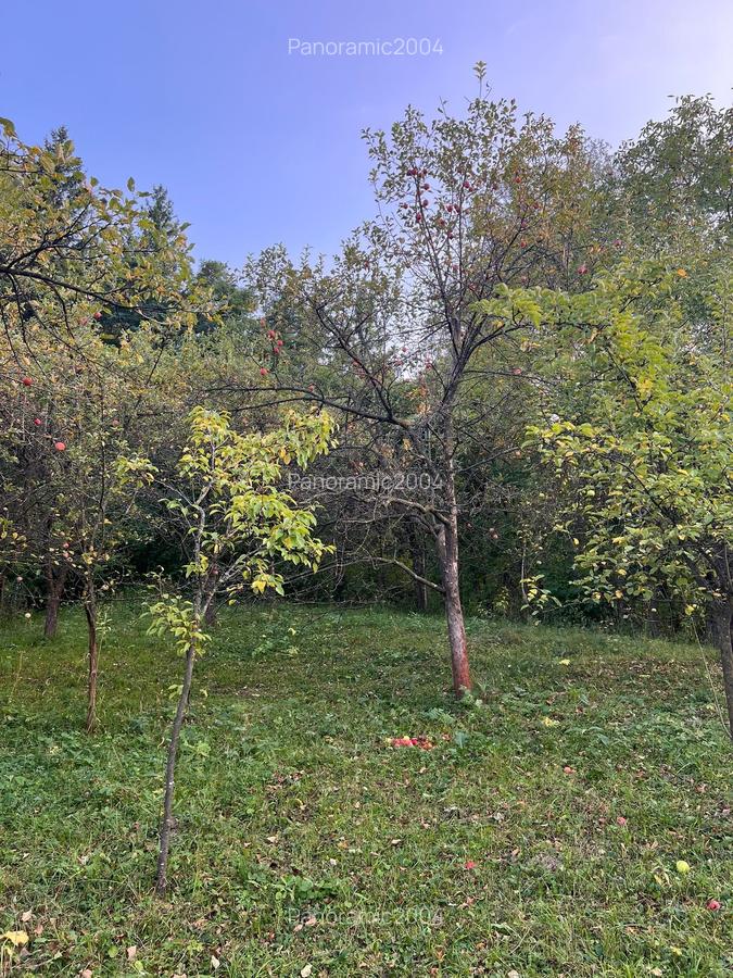 Casa de vanzare Soveja-Vrancea - 34