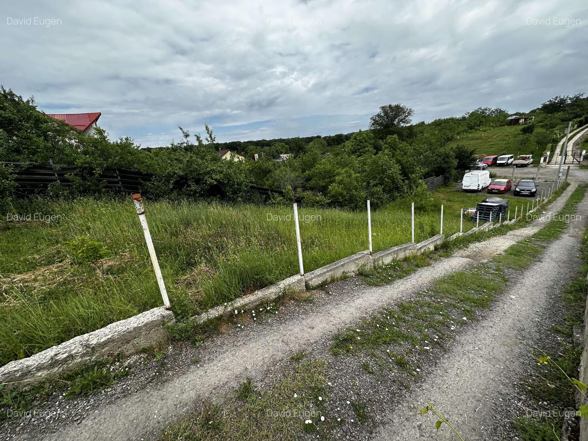 Teren Construcții intravilan de 892 mp, în Păulești - 1