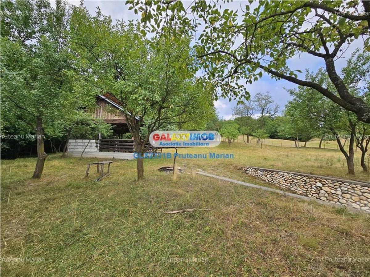 Vanzare teren 2680 m situat la Curtea de Arges cu iesire spre Transfag - 14