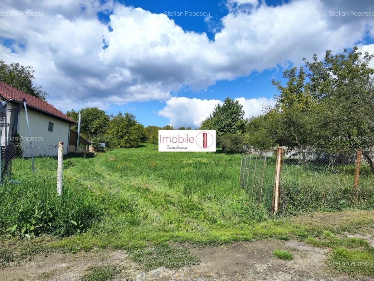 Vand teren | 4400 mp | Dambu Rotund - 2 Vand teren | 4400 mp | Dambu Rotund - 2