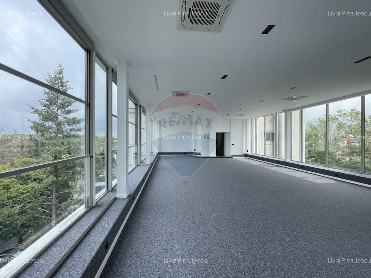 Spatiu de birouri 200-500 mp I Charles de Gaulle - Primaverii - 4