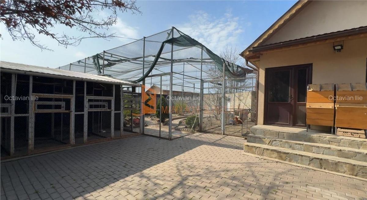 Casa tip P+M zona Lipia - 9