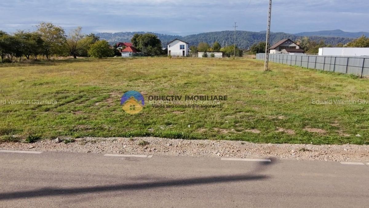 Teren de vanzare 1800 mp - Dumbrava Rosie - 7