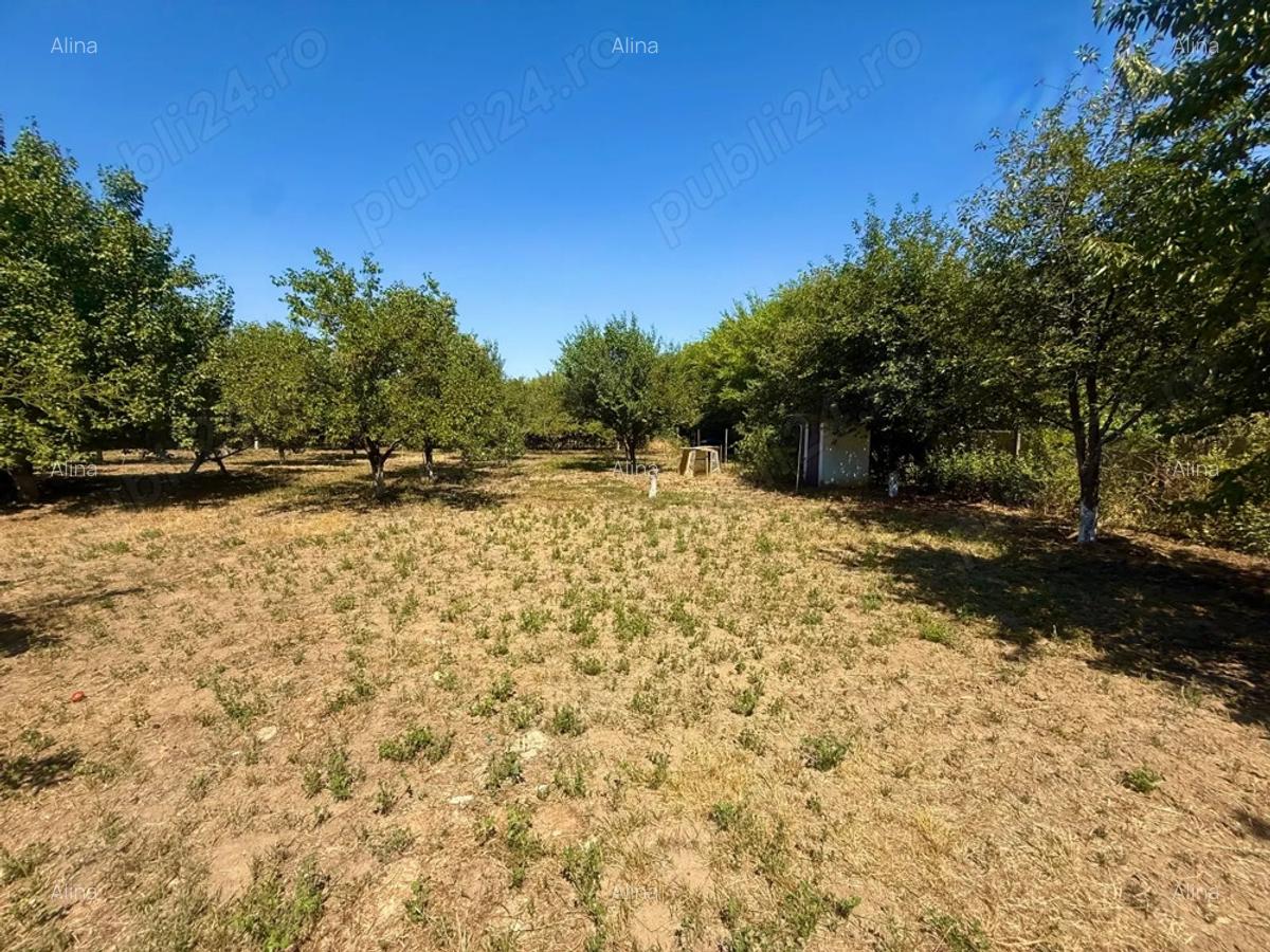 Casa la Mako, pe malul Muresului - 2