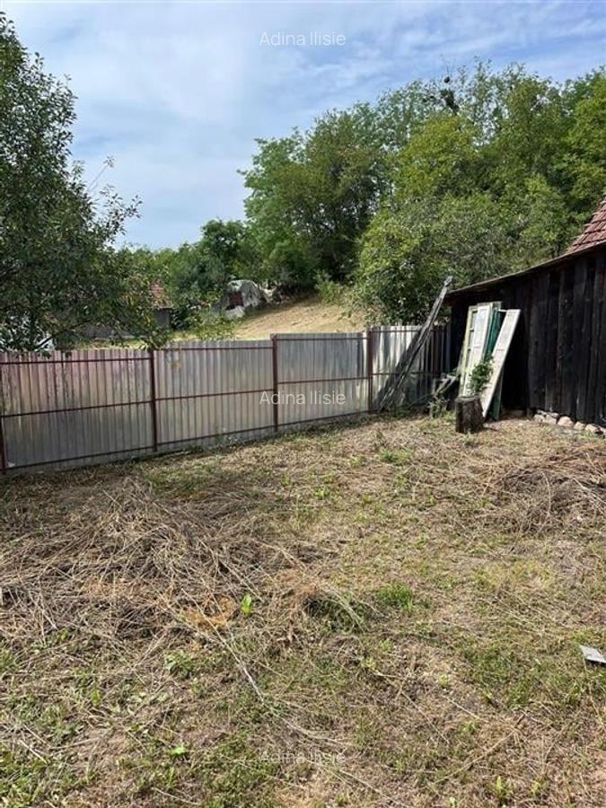 RECO Casa batraneasca cu teren generos la Lupoaia -Holod - 12