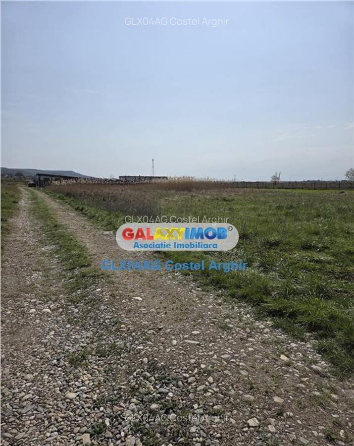 Vindem teren intravilan CC 620 mp in Calinesti - 15