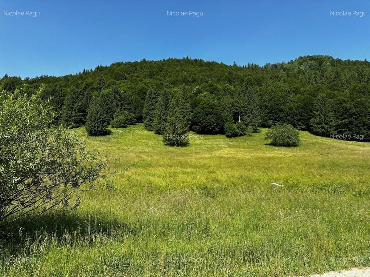 2 Loturi aprox.2200mp 25EUR/(total 6696mp) Barsa Fierului / Plaiul Foii - 9