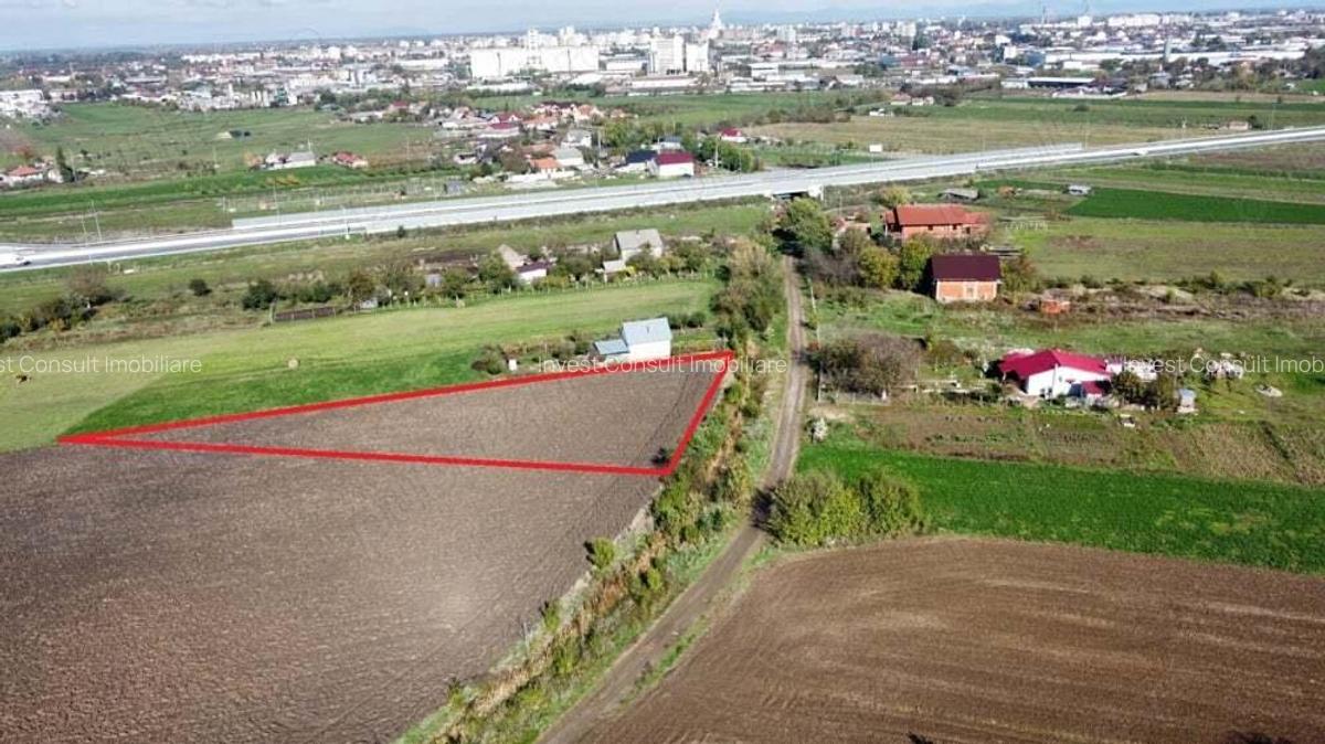 Teren de 5000 mp in Satu Mare | Oportunitatea Perfecta pentru Casa Visurilor Tale | Proiect Imobilia - 9